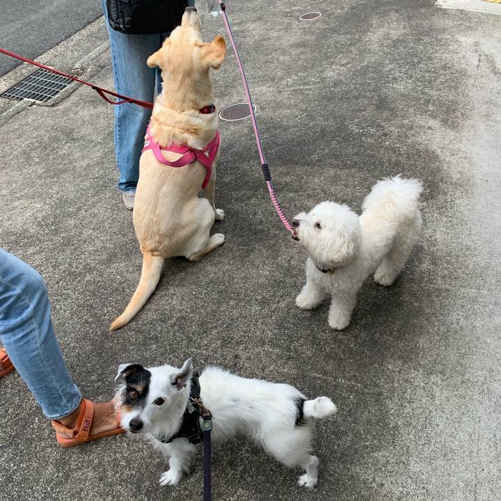 4ac151da 77c9 4e9e 9ed0 2ff84609dfd3 1747873844901