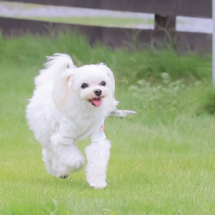 4ac192db cf0d 41de b5c4 f58e8ca24532 1693661846184