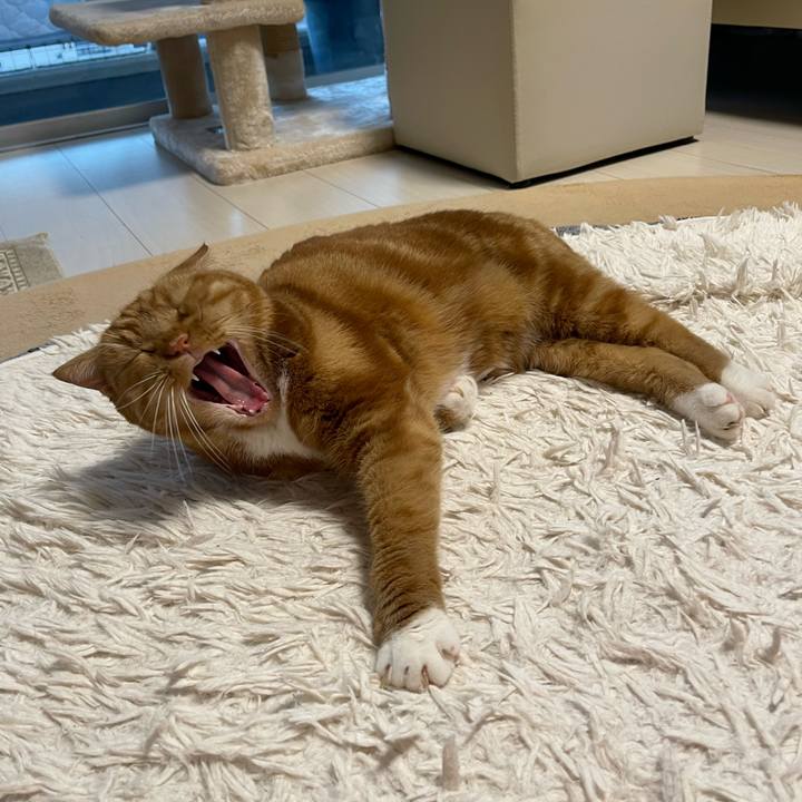 4ac1a469 f51b 4dc3 992d da68c93c6967 1692178188952