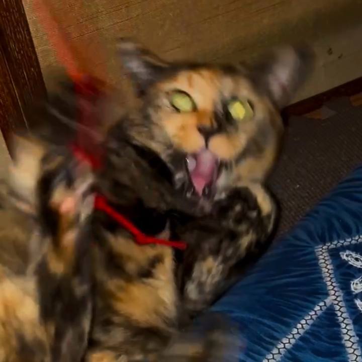 4ac1b6bd e2dc 48b9 956f 5d14d8d0fd33 1752525956070