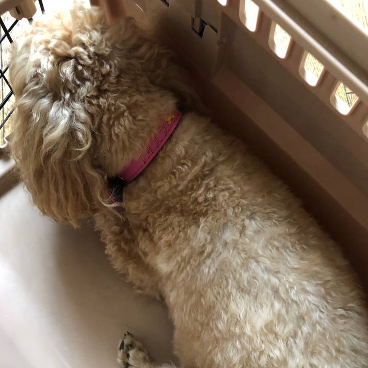 4ac1fe98 197a 4273 9abc 7891f0210f06 1655006363193