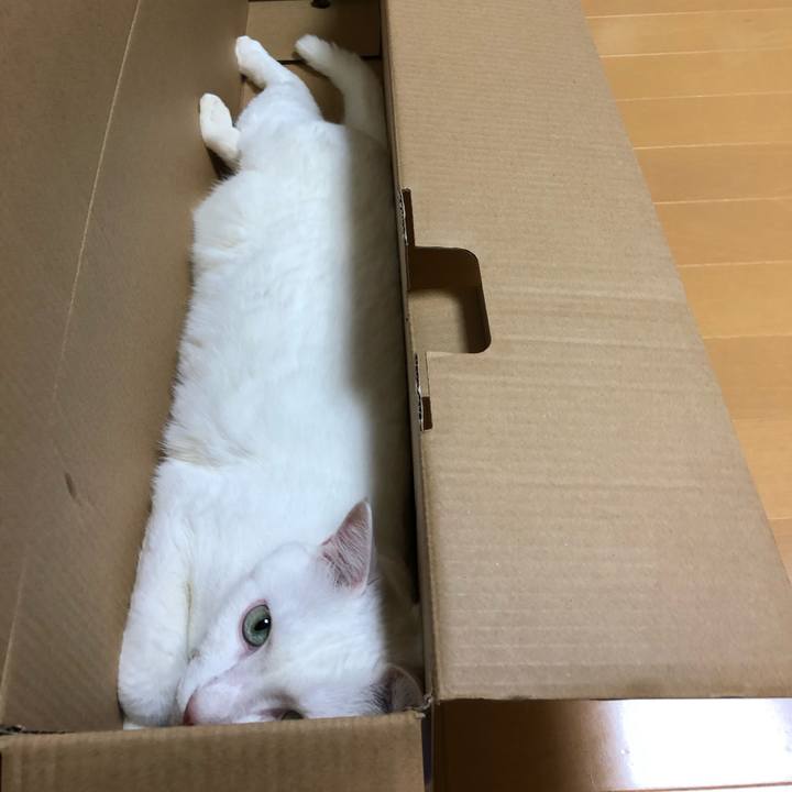 4ac203fe 8501 4471 ba13 7a40a788676f 1569762532352