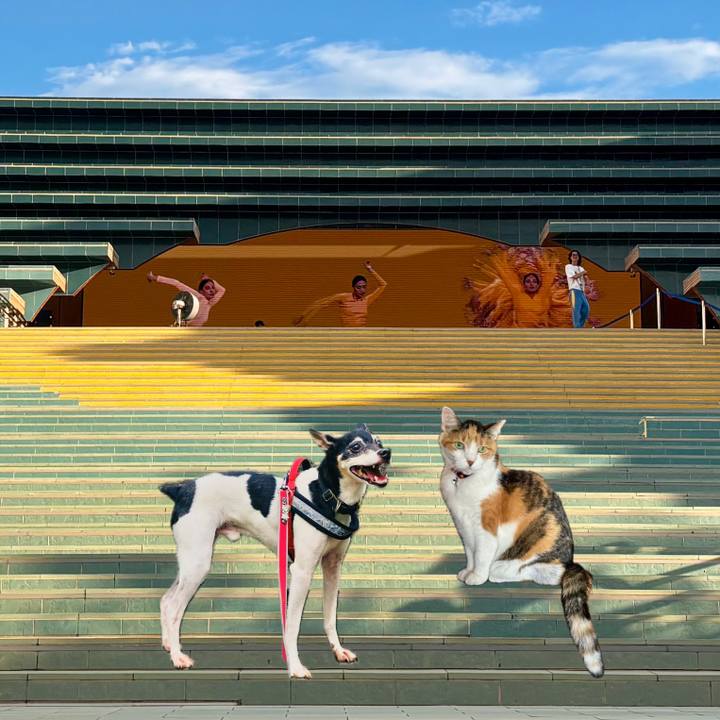 4ac237b3 36b0 4a77 9c54 023cb4afe66e 1753586161952