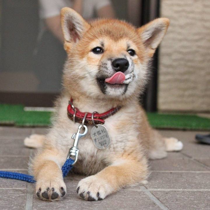 4ac240e0 7a0f 4259 84e5 569146d801d8 1622717582748