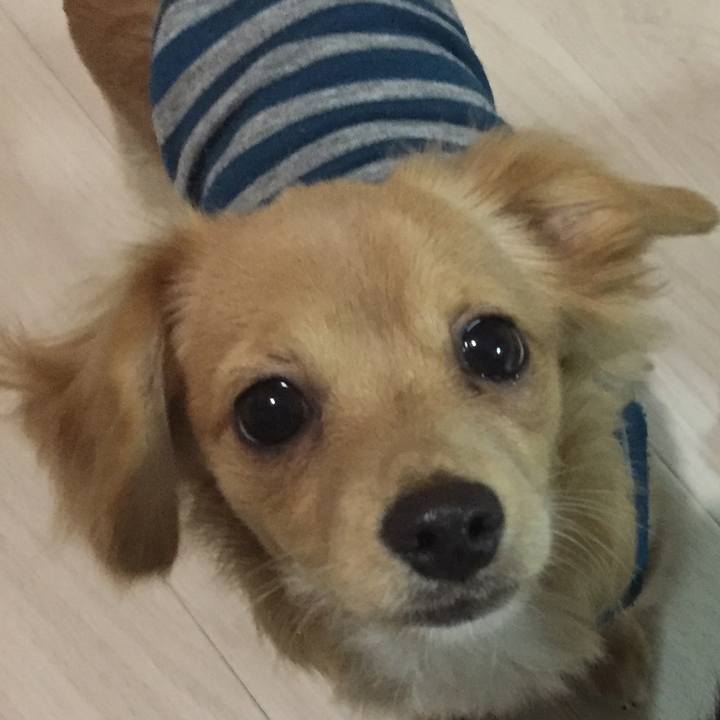 4ac279f8 e055 42e2 a16a 2c84ae2e4637 1510575220711