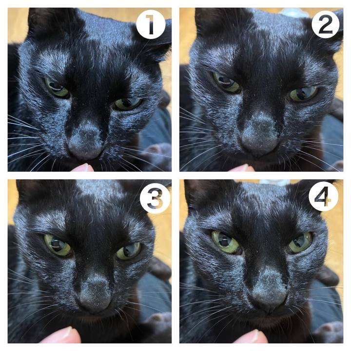 4ac2b7ed 042f 4af9 86c0 febe4ca21fca 1752324109012