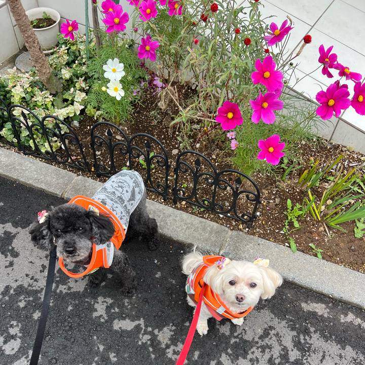 4ac32246 e02a 4151 a838 9ea80ef17963 1762390269517