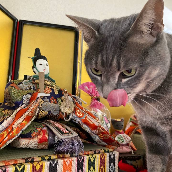 4ac33479 3d31 4108 b26d 050fd281f92f 1677630042729