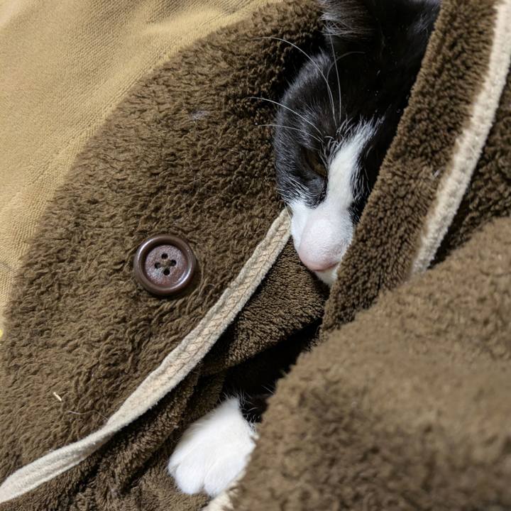 4ac3d135 5e9e 441b 82db 8edb3efb8dda 1741517312859