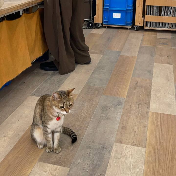 4ac3f206 2e5f 4b1d 9412 52af94f245dc 1749976690802