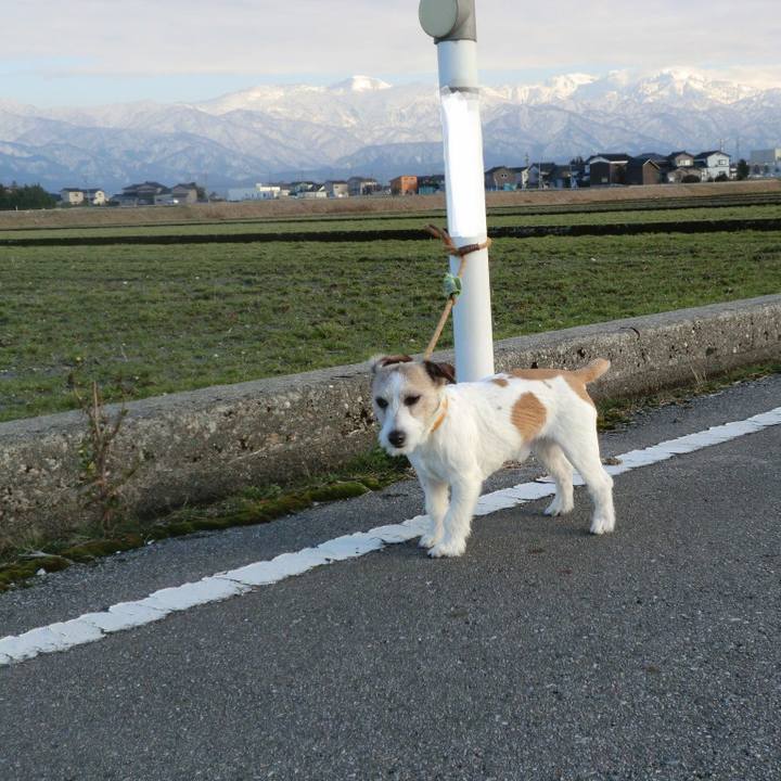 4ac486df 731e 463d b922 b5a9b2efc780 1550061616587