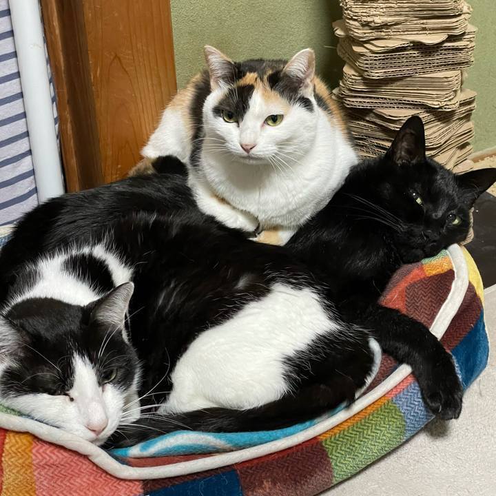 4ac49ded ae94 47f3 a9bb cc33f8885516 1607306190179