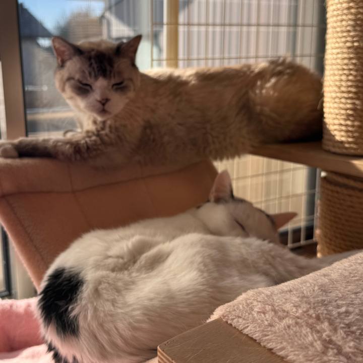 4ac4c55c ebf3 4f66 9cb8 6490d47403aa 1767953120231