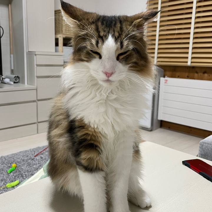 4ac511c7 41db 494d b60d 631379daa9c8 1639141364628