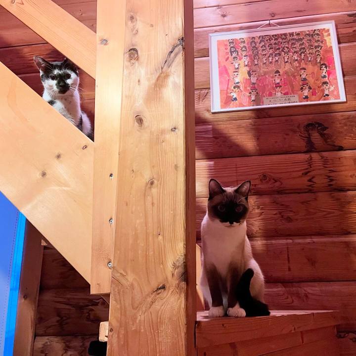 4ac543ce a3c0 42f3 bafb bcb681eccea9 1735557495287