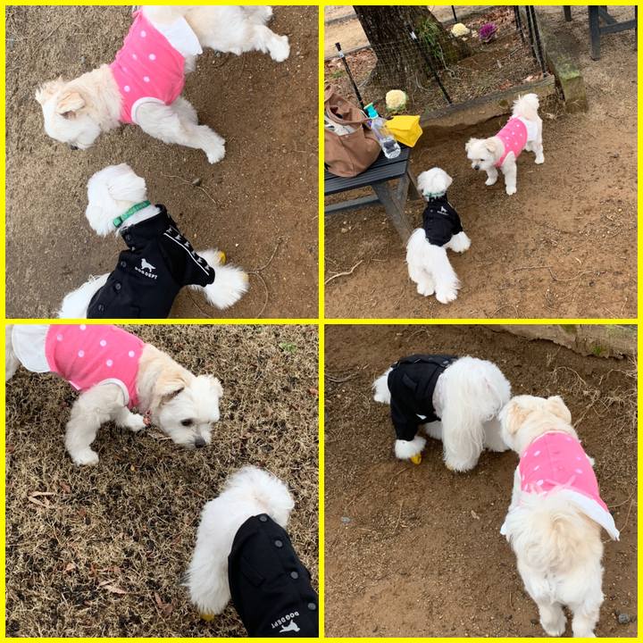 4ac55fd2 9931 4059 82d2 8434cc4681c4 1581737076050