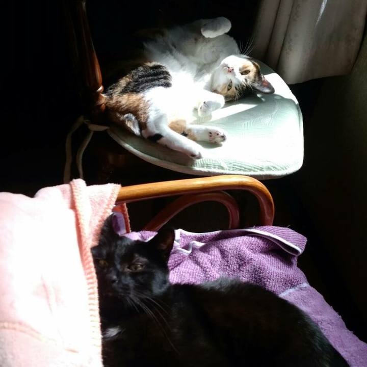 4ac56e69 3946 4d59 b288 dc3871ae53b9 1522381237793