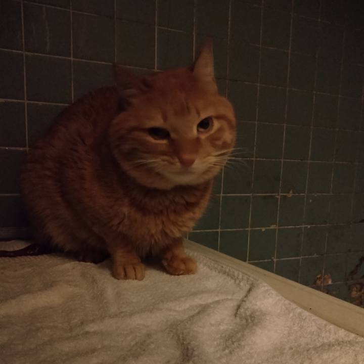 4ac5cee5 cbbf 4653 a7ad 5b750f62edb5 1708076056590