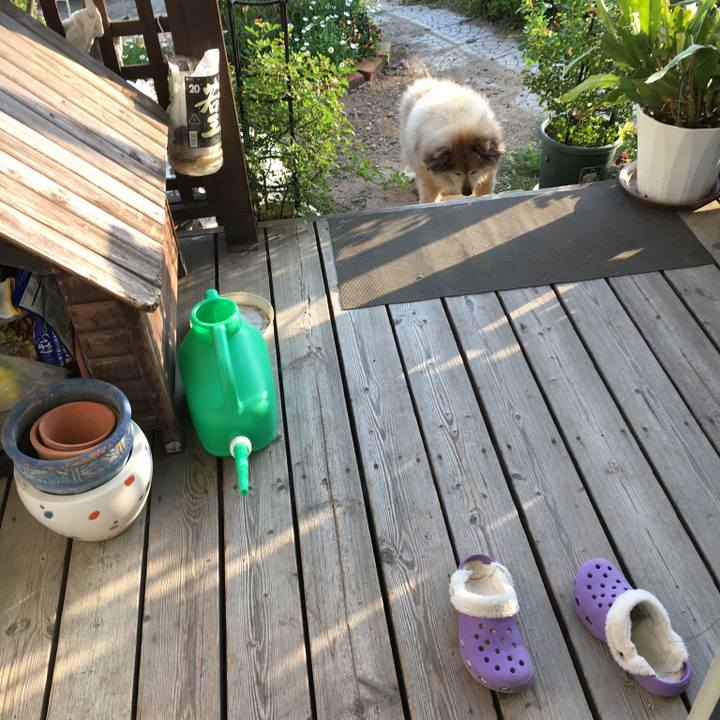 4ac5ddcc a13c 45a6 b752 8eed72486eb7 1572311062207