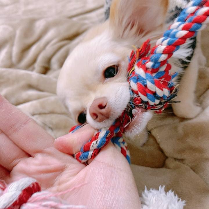 4ac60607 5b17 4345 9162 7c8359792b5f 1611469890875