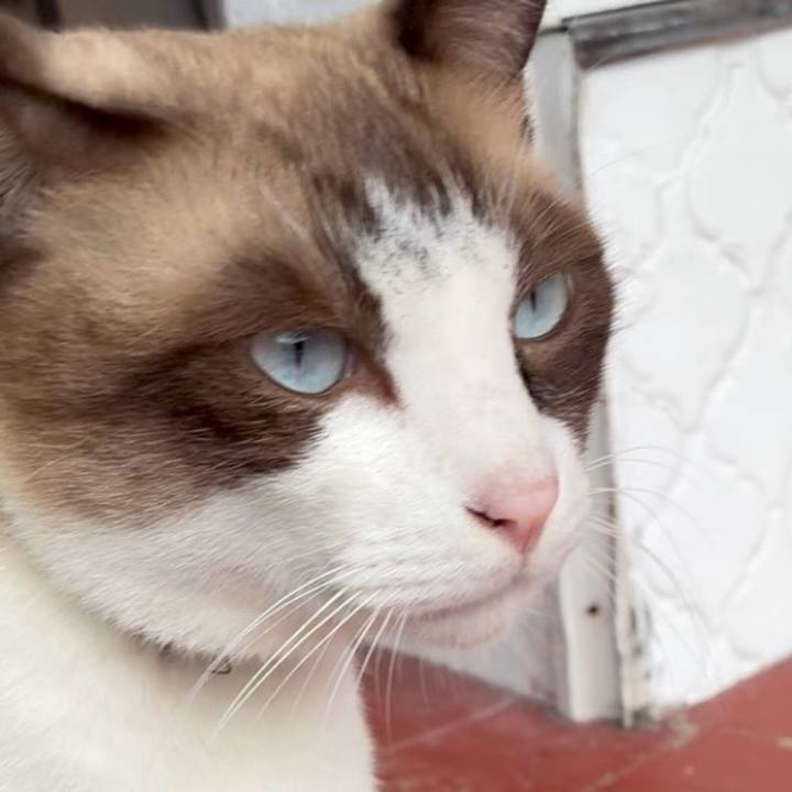 4ac645c2 e4c5 4b0c aa88 dbc96d7812cb 1759544245977