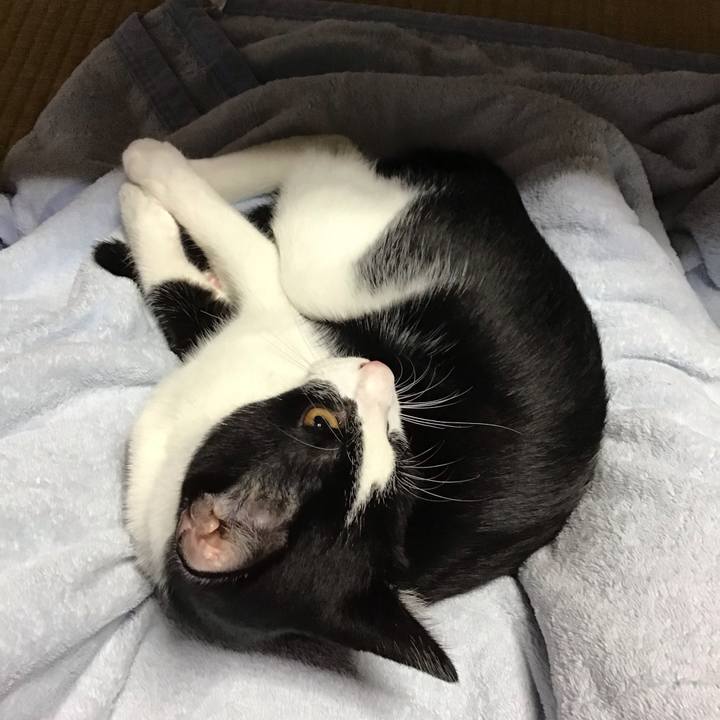 4ac64c0c d887 428f 9e36 abd3950036b0 1633044100857