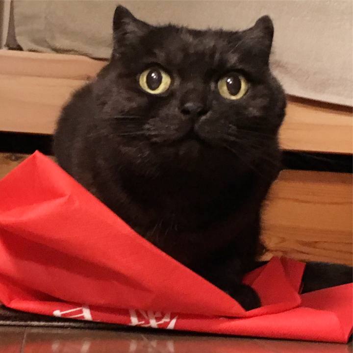 4ac656b0 a42b 4c29 ad62 c7bf2c8d9e1b 1555259211425