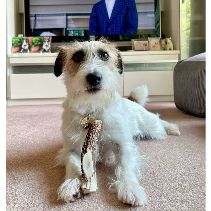 4ac6cb18 01f6 4390 935a ae121e0468c9 1654056201698