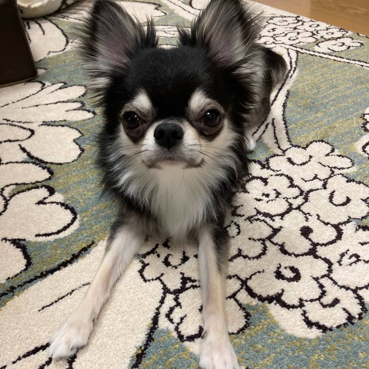 4ac6e59a 0ded 4c88 b8fc a77f2a48dfbc 1624075140963