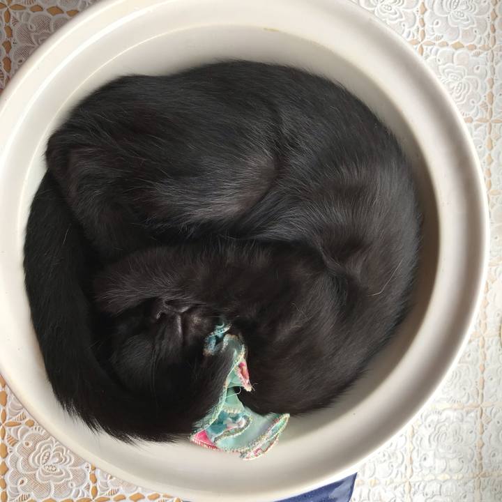 4ac70228 4aee 42be b936 b85a27ed4001 1570634757954