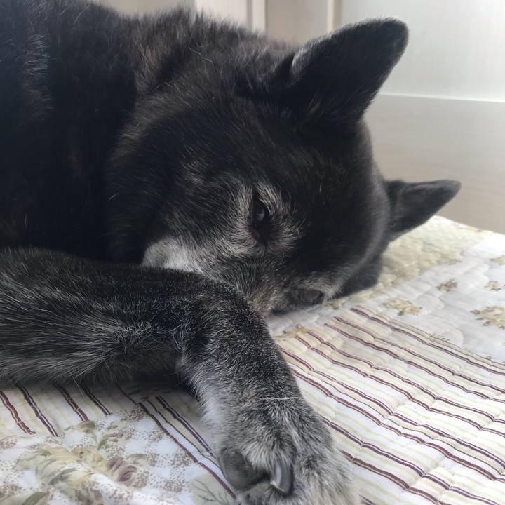 4ac7069d 4ab4 477d bada 260d28d08e4b 1619828999593