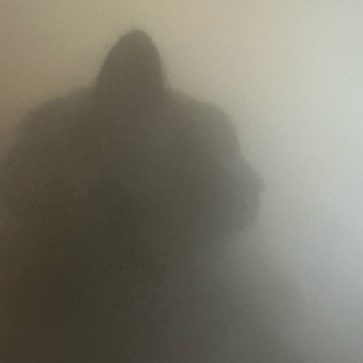 4ac714a9 9e34 40bd b955 b204df7dd6c8 1702602211202