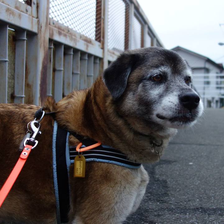 4ac75141 f612 4de7 a734 d52f37a4e217 1563188488139