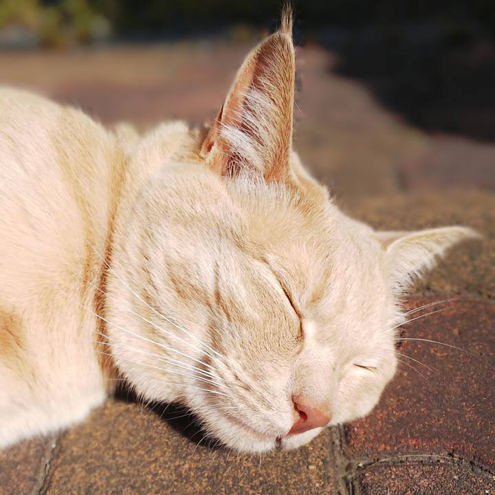 4ac7669a dd35 4b15 90ab d042aed857c0 1623365396204