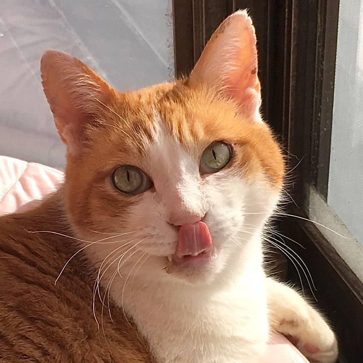 4ac7714d 77cd 4b0f 99ef 9e5570f3bfe0 1577954634896