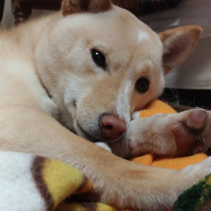 4ac77860 0aca 480d 836f 5d52213726a1 1518781154956