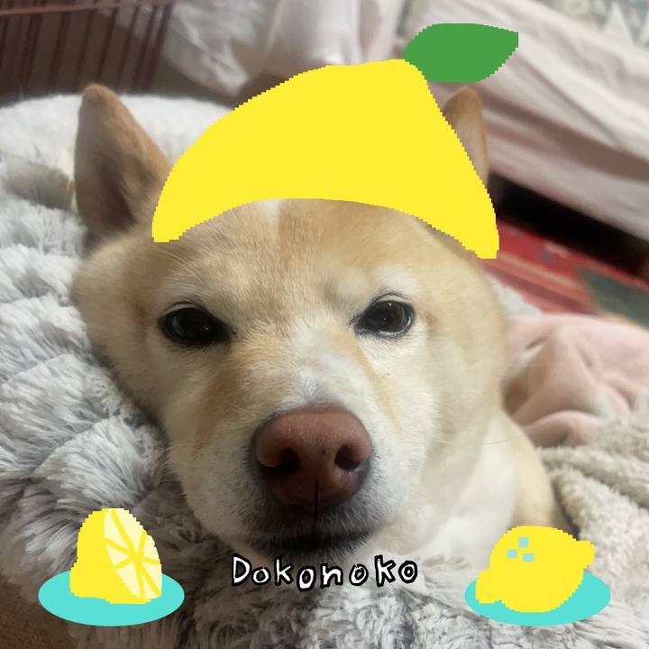 4ac7bc58 9238 4fe8 8f31 8b0859a189b1 1741179223469