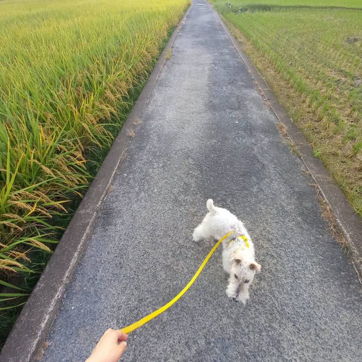 4ac7ccf3 50e3 438b b333 25ec5fc020c1 1633262186095