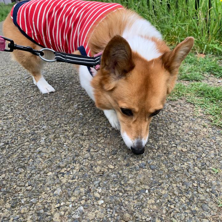 4ac80bbc 76bb 41da ba6b 470554aea90d 1590881665015