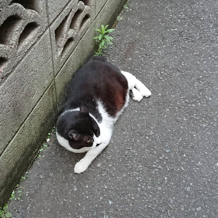 4ac82290 4873 404f 8038 6c468df1fe14 1561022165925