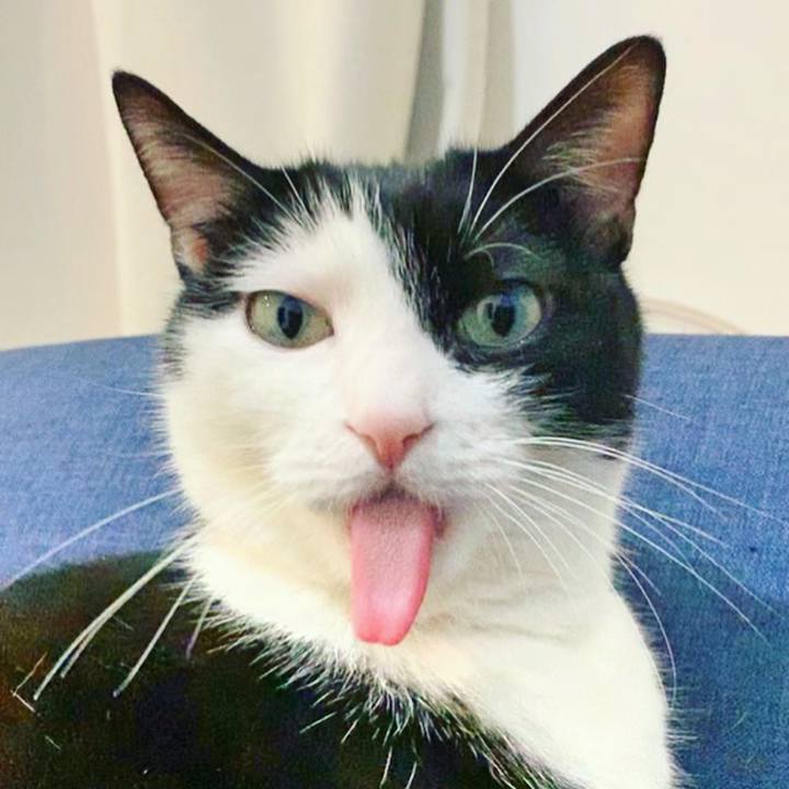 4ac87ea7 815e 444f 820d c03a4045e82c 1589497752555