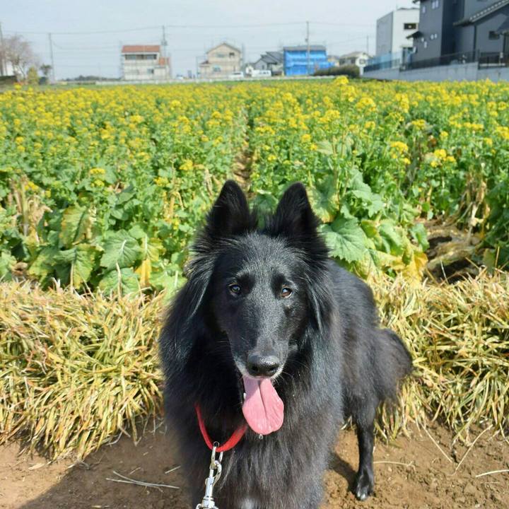 4ac8b344 1350 4fbd af9e aea37b6cb00f 1519799975475