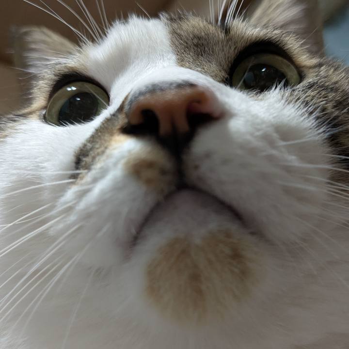 4ac8ba91 cd16 4c23 8ec8 9baca899efaa 1760956050206