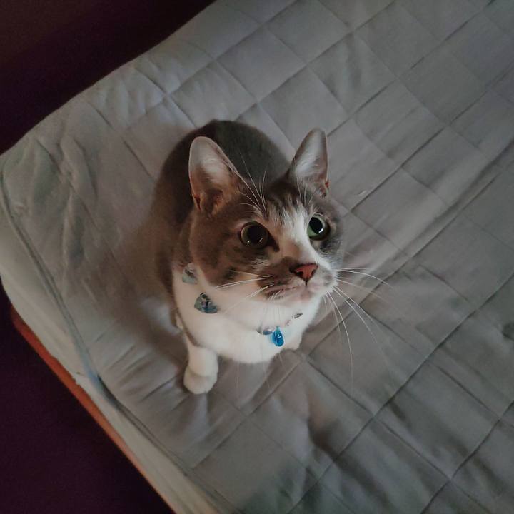 4ac8bf7d 3864 4ac0 b735 dc30e4020925 1667819370408