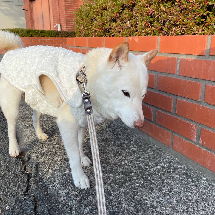 4ac8c376 382f 4eb8 a7ca 927ac05c05da 1640786572014