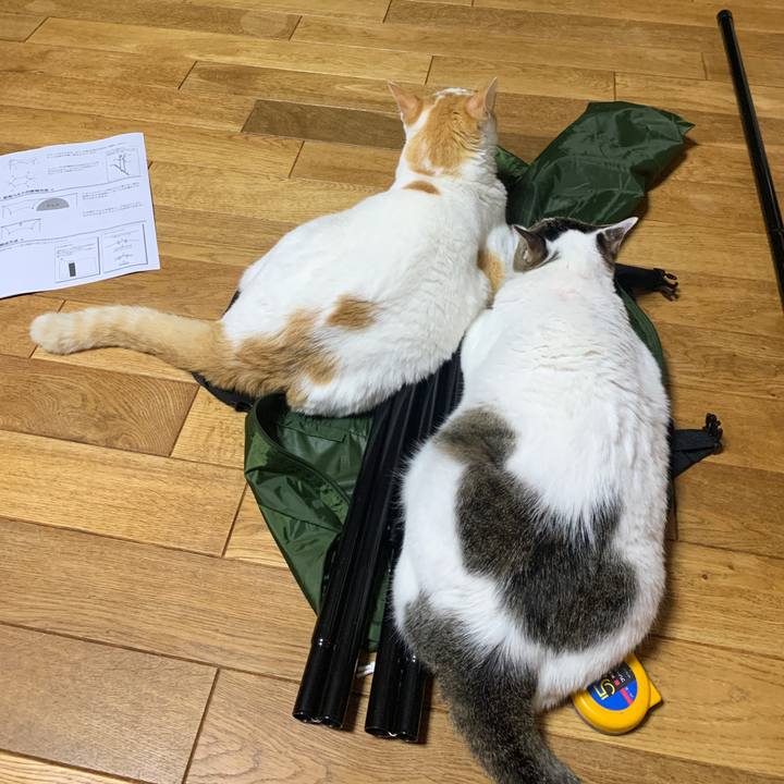 4ac8ca6e 944c 44c2 aea1 4e8923fb2276 1659194788004