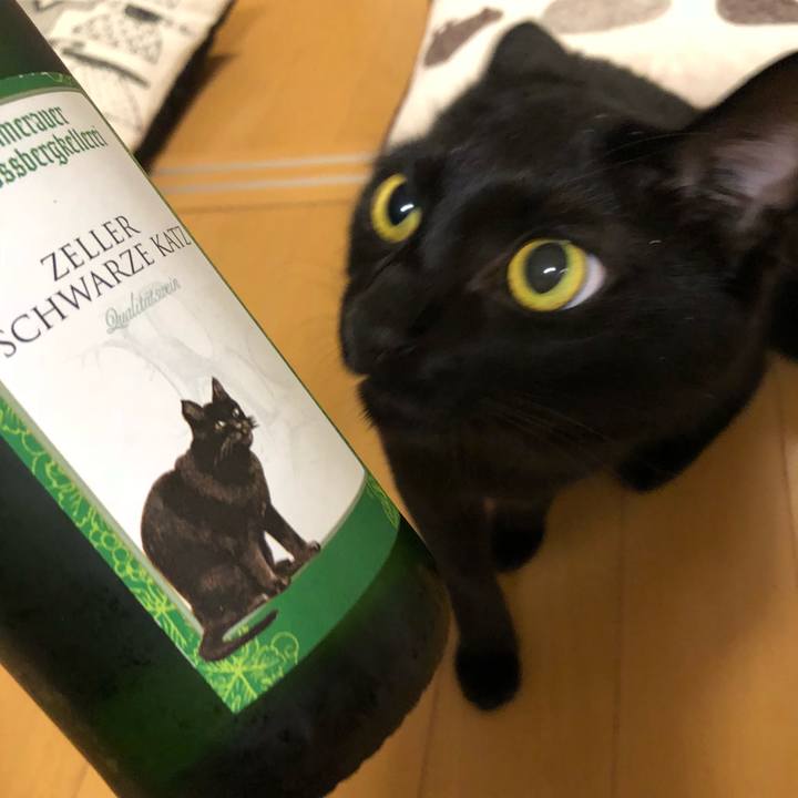 4ac8fead e231 413f a2a8 e30d17cbf8a7 1536791282798