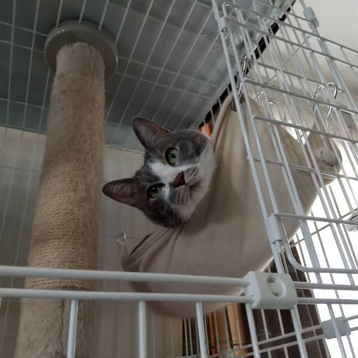 4ac91107 f1ea 4c91 9fe4 8482a978cfc4 1647332557397