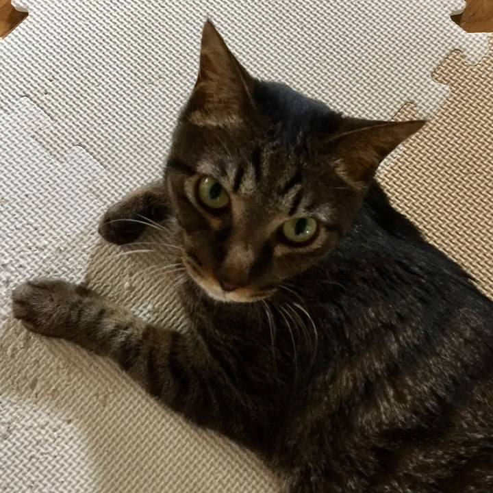 4ac91c63 1f3d 4274 918c 28a42a09eacb 1532391632173