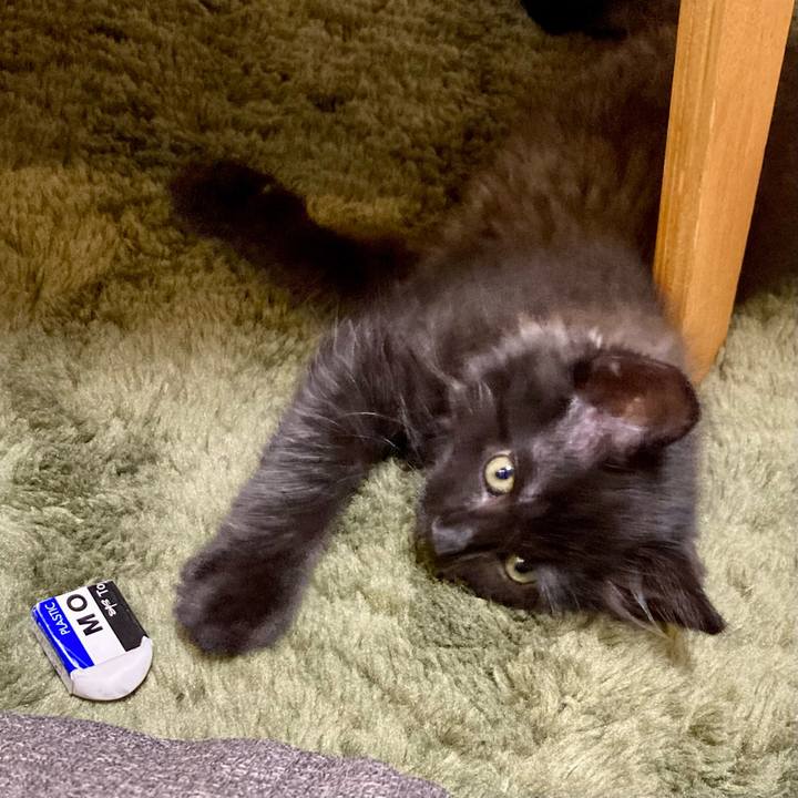 4ac93aa9 289a 47ee bd77 0f122956ecb0 1699175115938